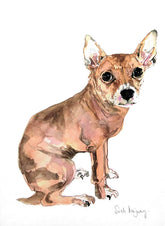 Animals Dog - 8lb Pooch Unframed